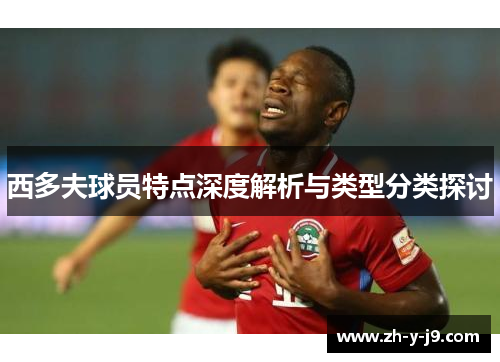 西多夫球员特点深度解析与类型分类探讨 西多夫球员特点深度解析与类型分类探讨