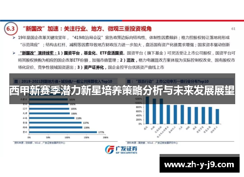 西甲新赛季潜力新星培养策略分析与未来发展展望