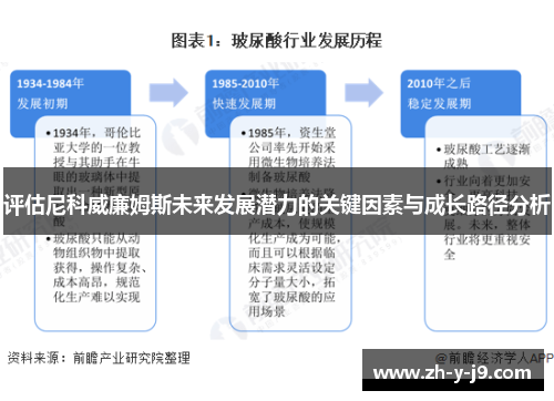 评估尼科威廉姆斯未来发展潜力的关键因素与成长路径分析 评估尼科威廉姆斯未来发展潜力的关键因素与成长路径分析