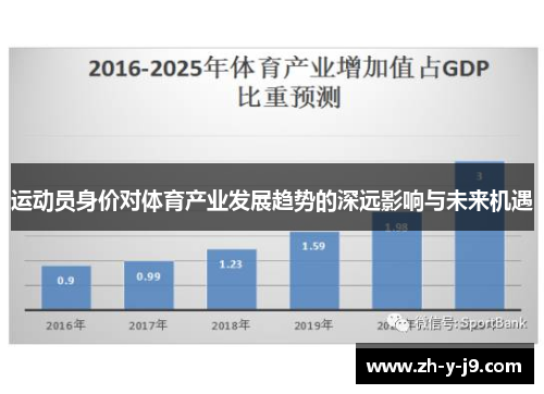 运动员身价对体育产业发展趋势的深远影响与未来机遇